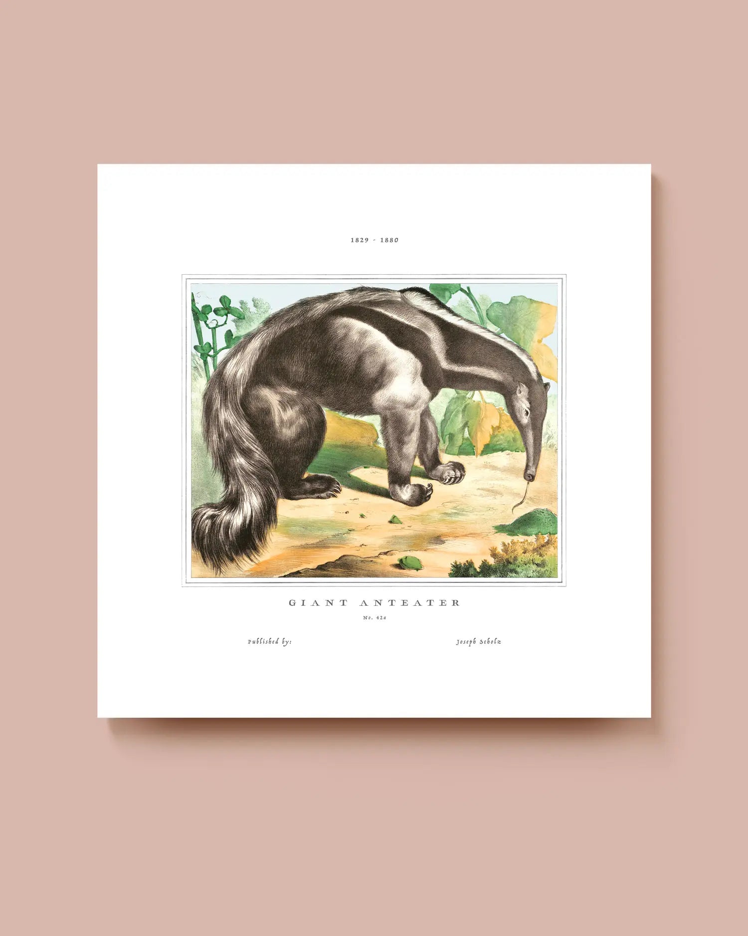 Art print featuring an illustration of a giant anteater on a white background. * Unframed print