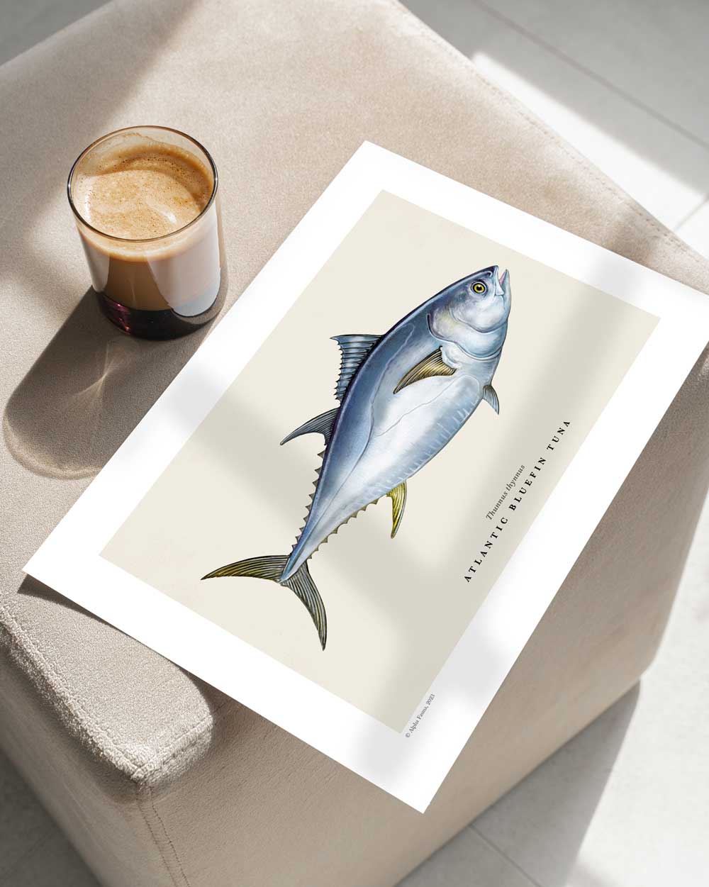 Atlantic Bluefin Tuna Art Print