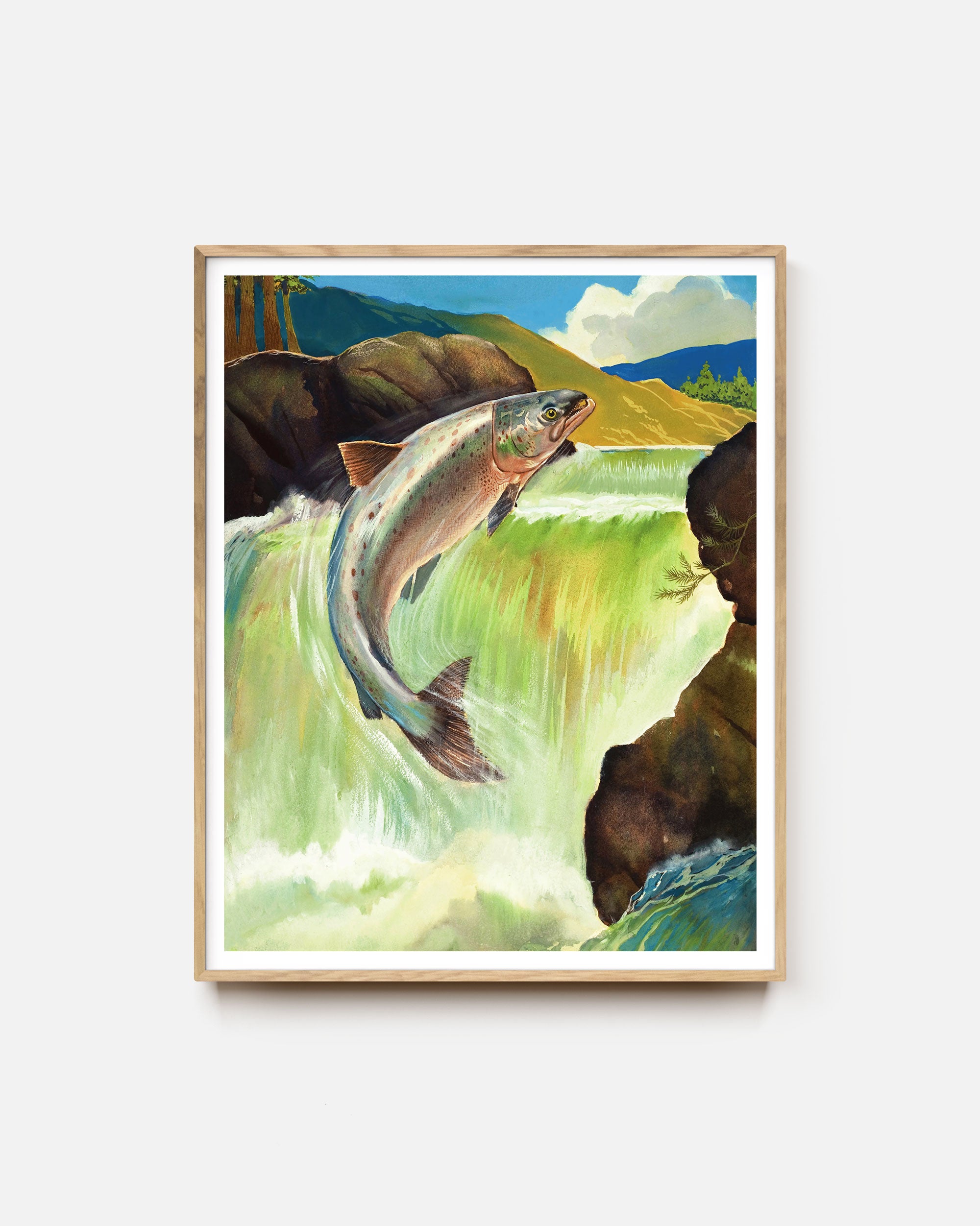 Atlantic Salmon Art Print - Fish Art - Alpha Fauna