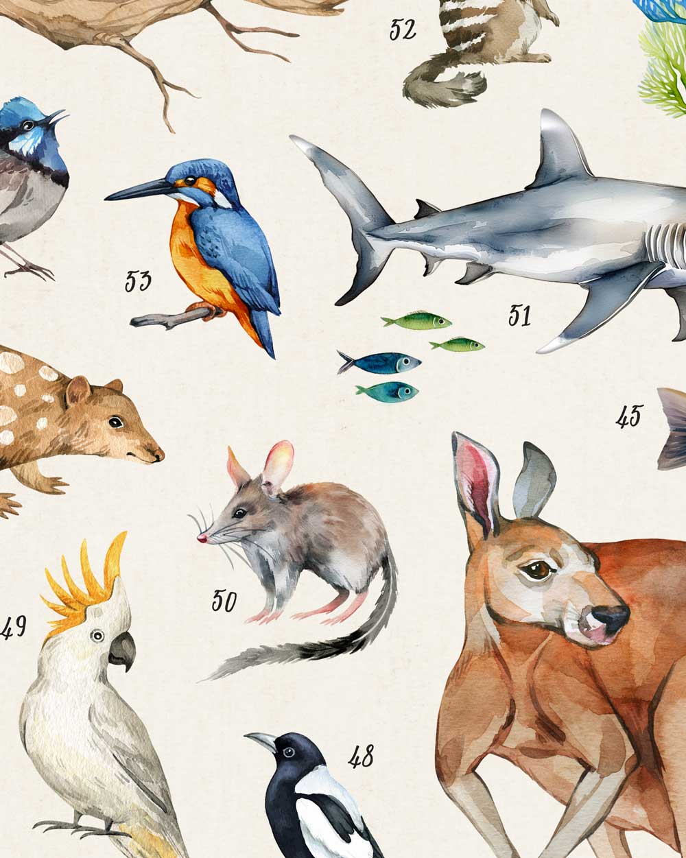 Wildlife of Australia Art Print
