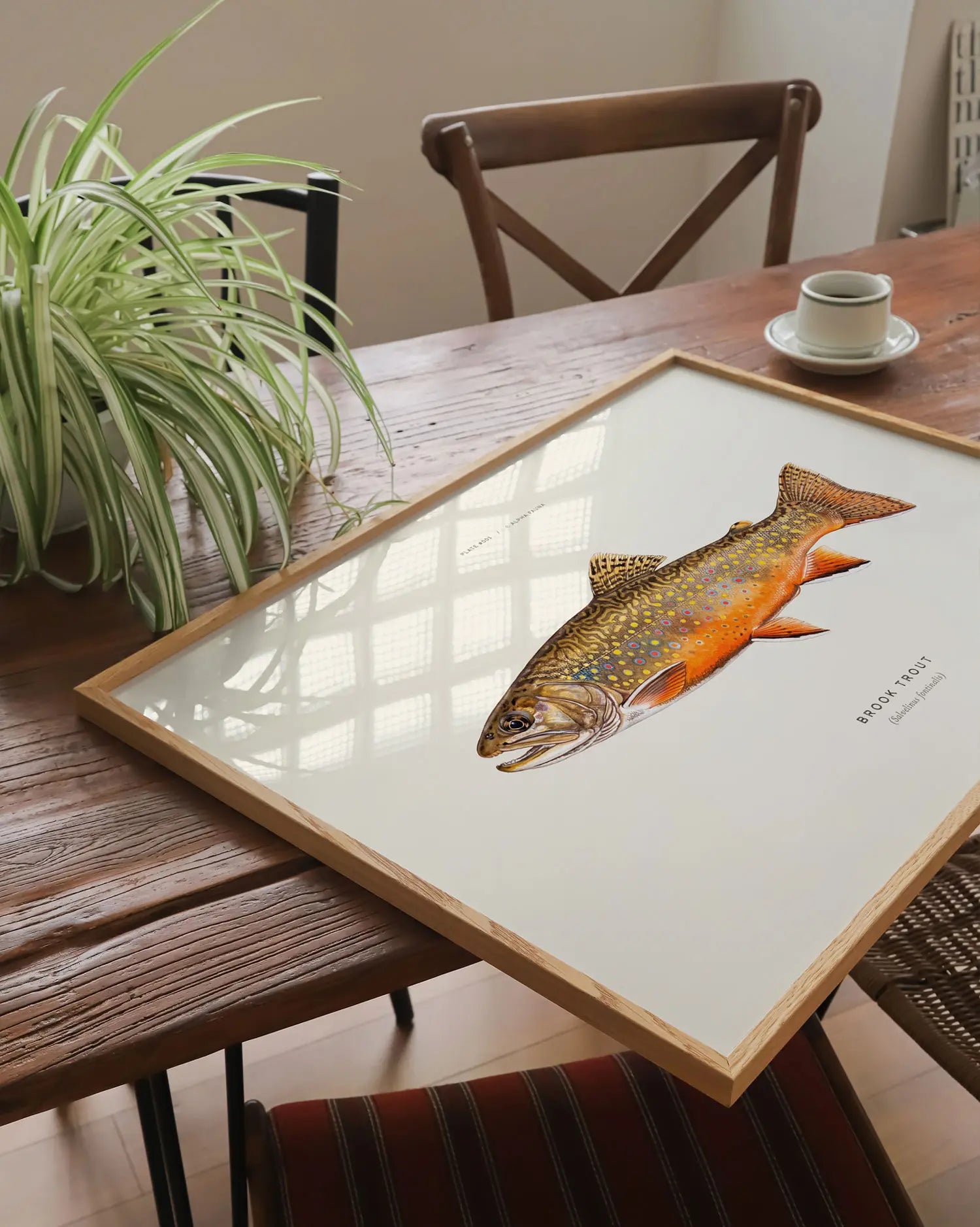 Brook Trout Art Print