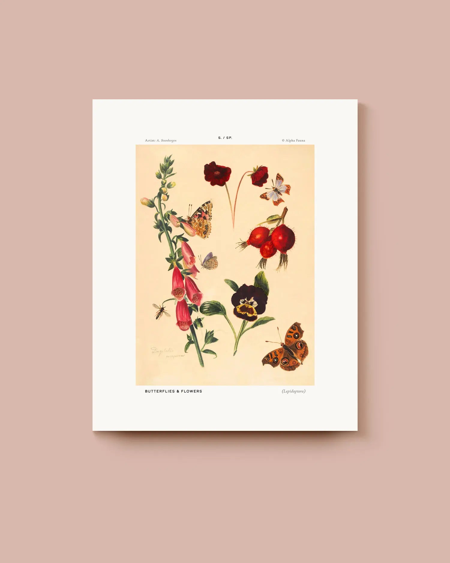 Art print featuring a botanical illustration with butterflies on a beige background. * Unframed print