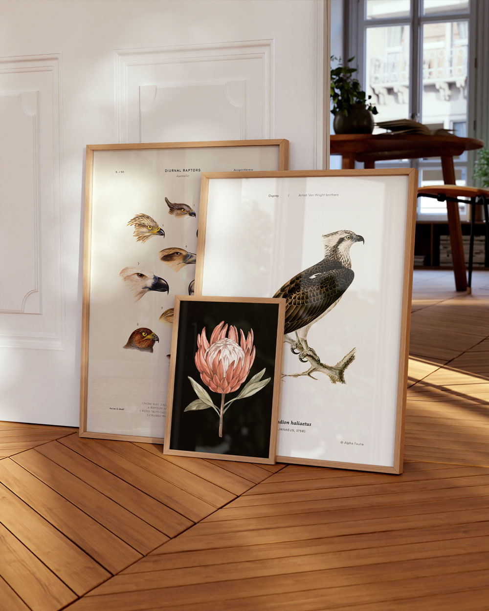Osprey Art Print
