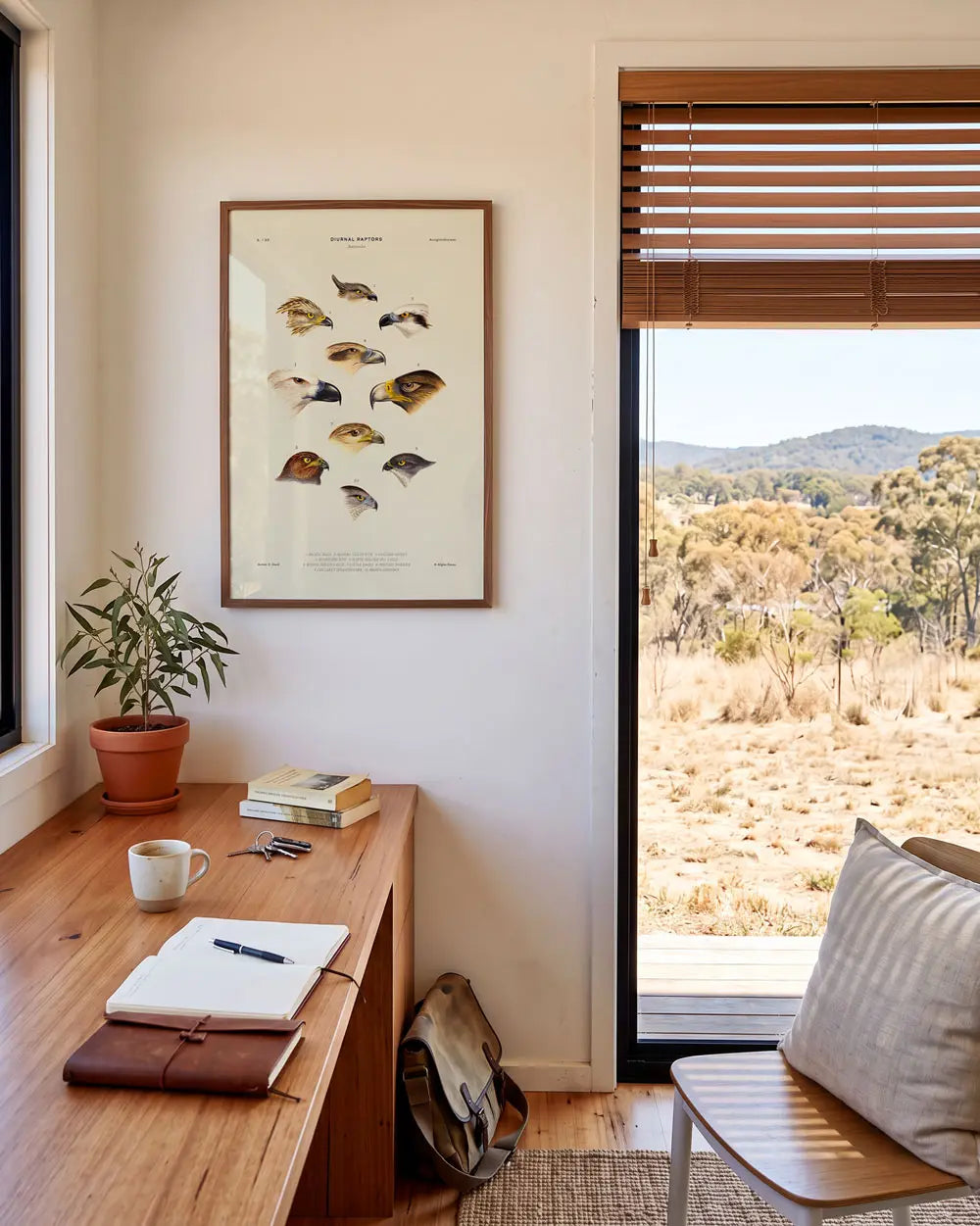 Diurnal Raptors of Australia Art Print