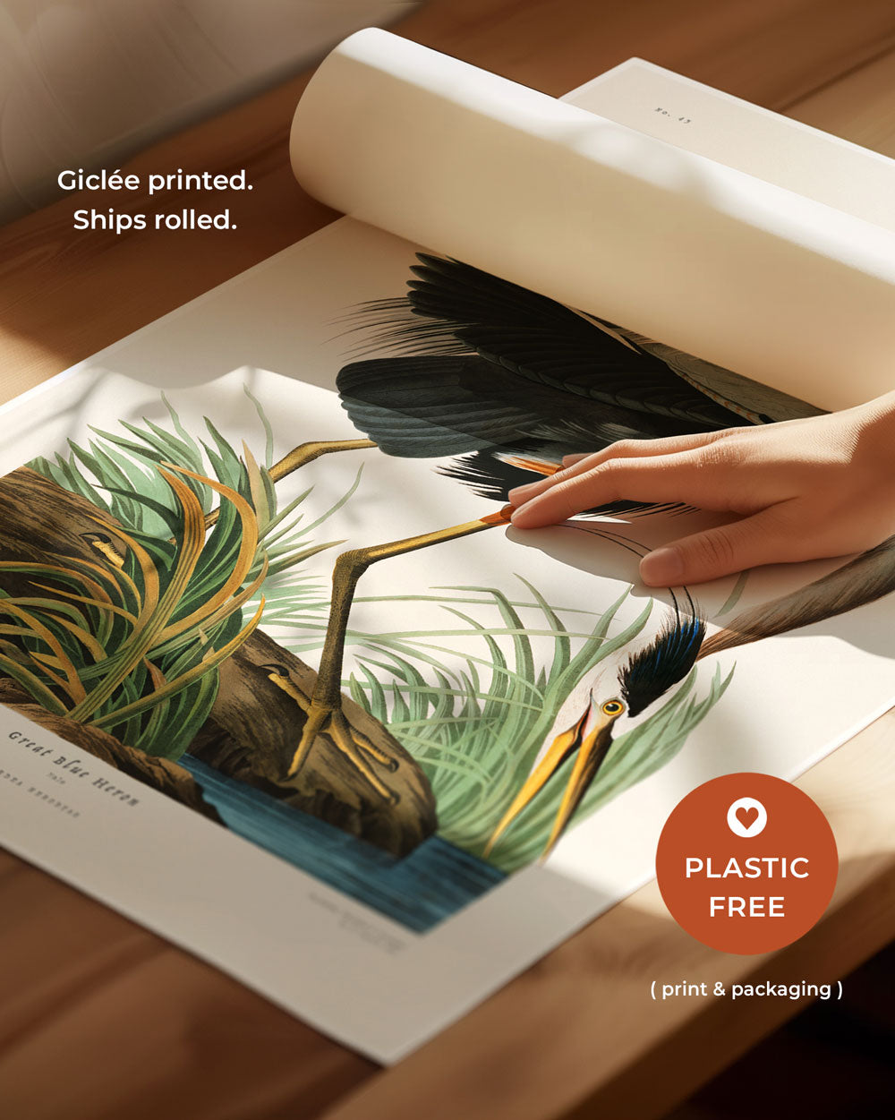 Great Blue Heron Art Print