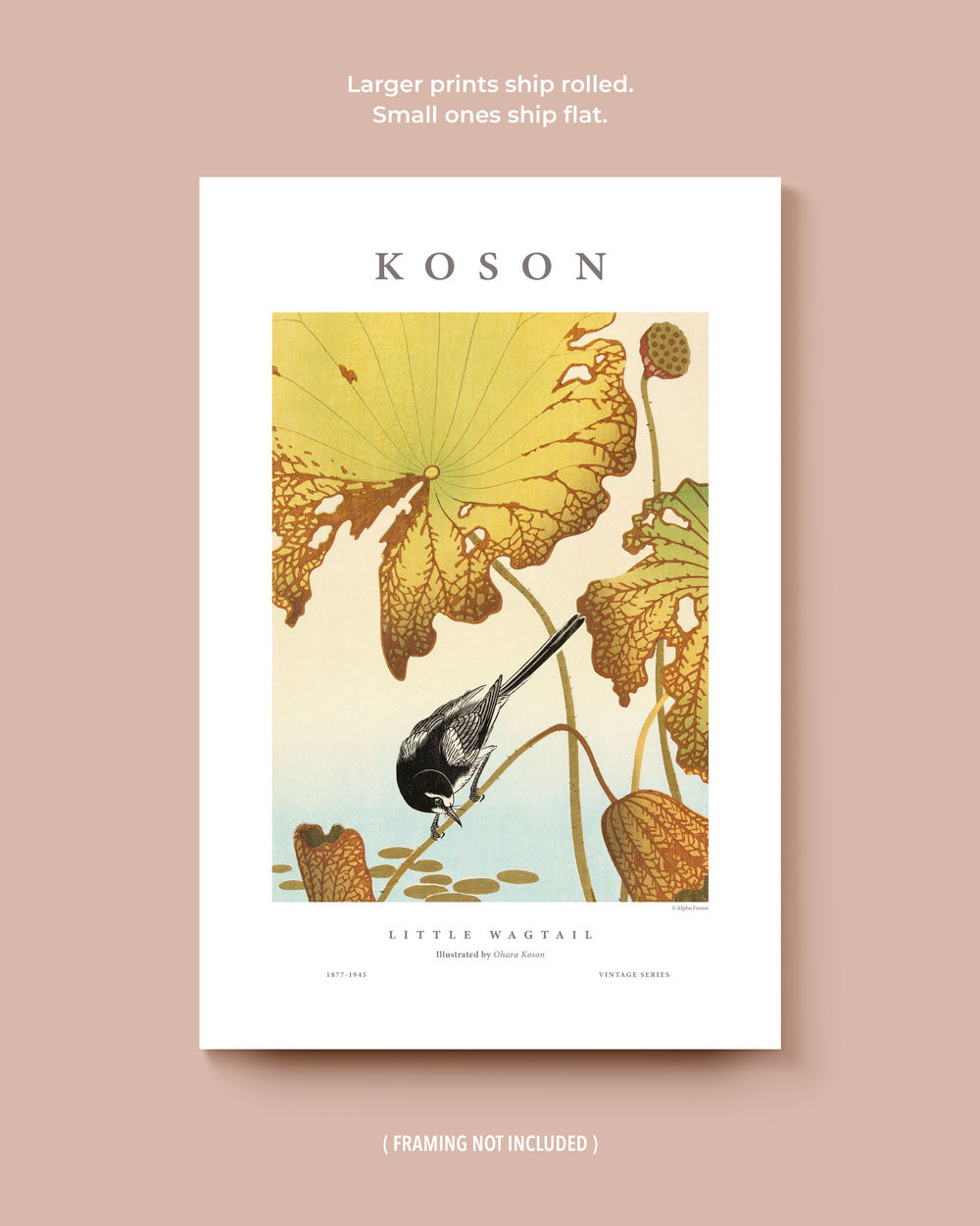 Koson's Japanese Birds Set