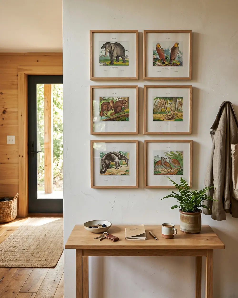 Animal Atlas Collection