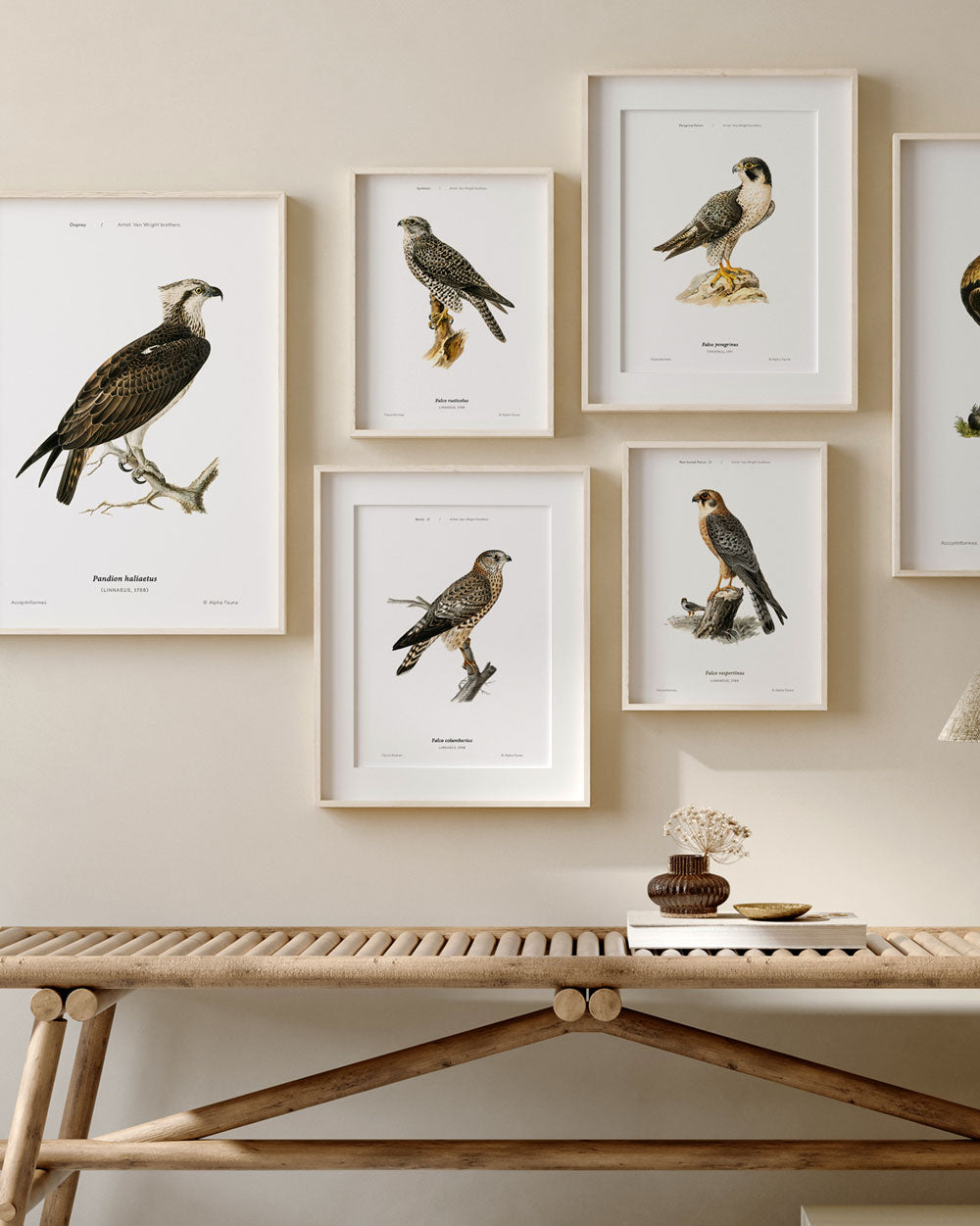Osprey Art Print