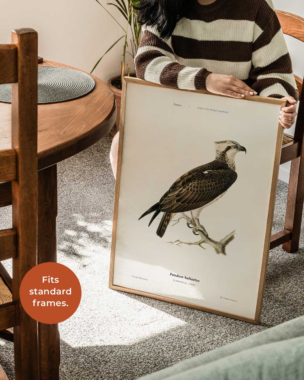 Osprey Art Print