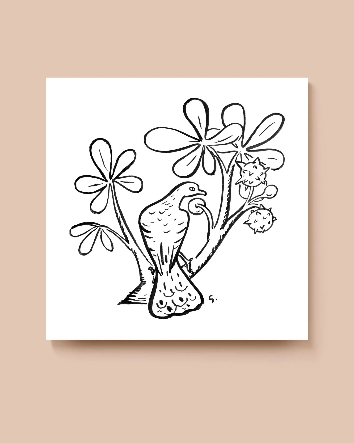 Black and white illustration of a pigeon perched on a branch with flowers on a white background. * Unframed print