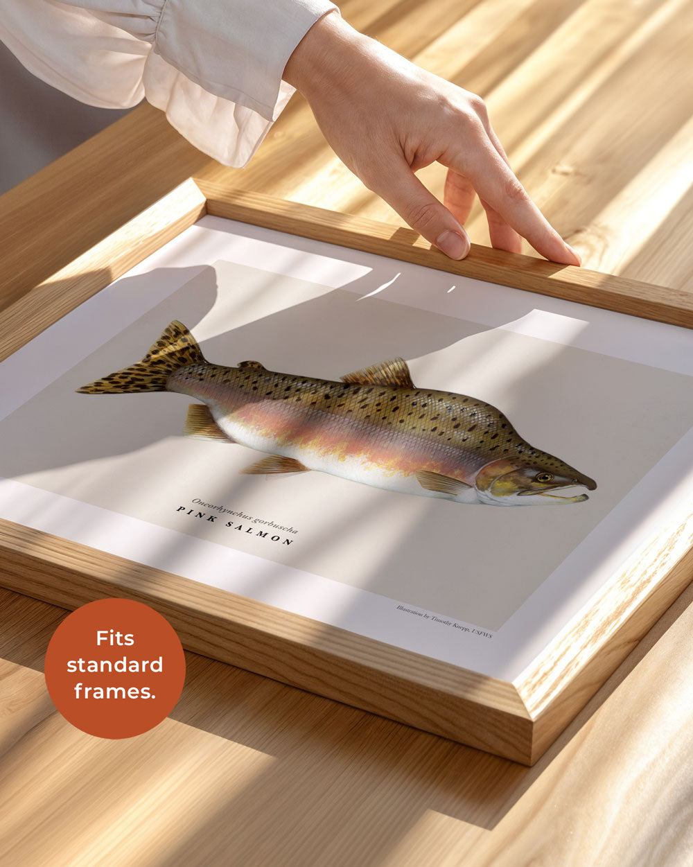 Pink Salmon Art Print