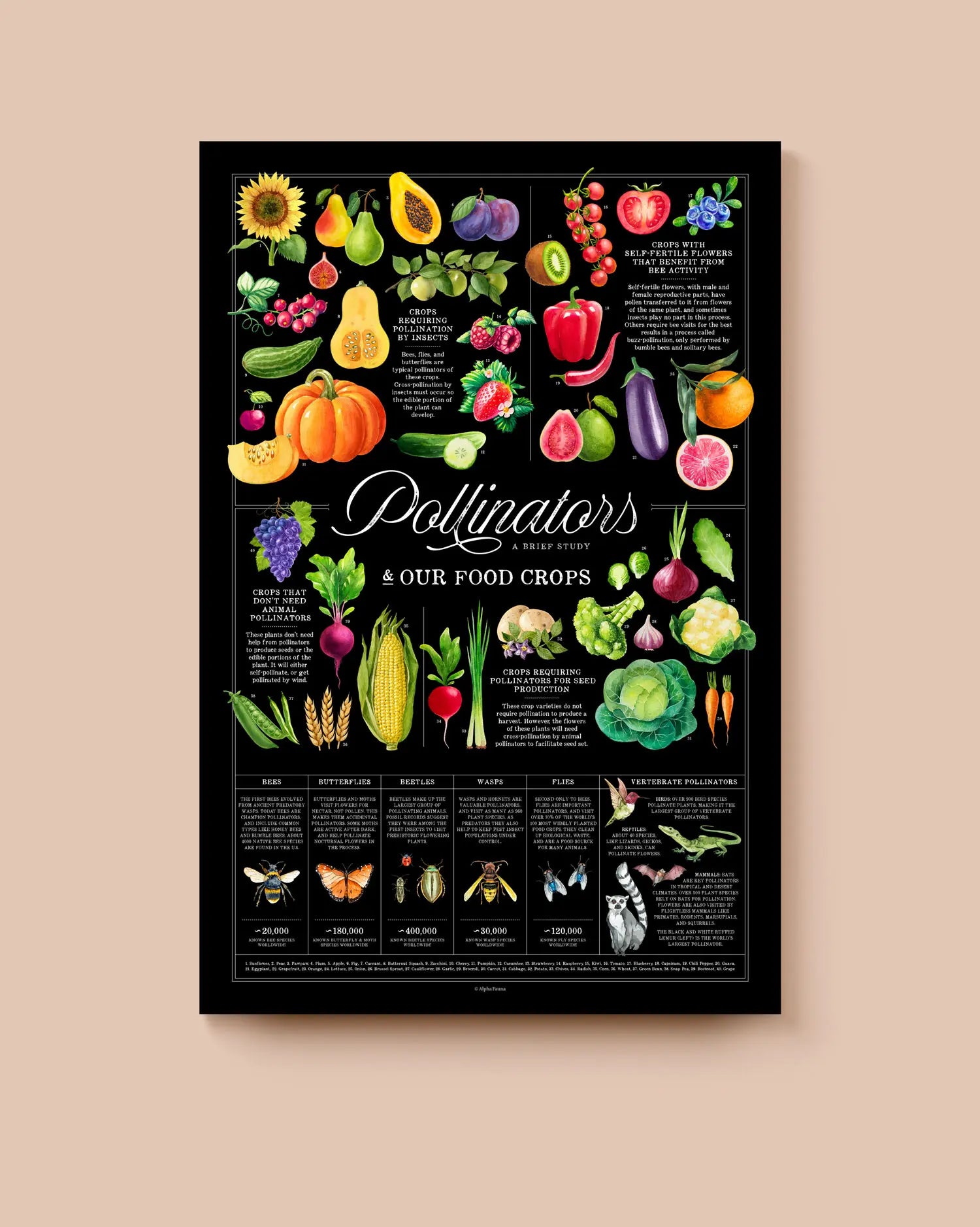 Educational poster about pollinators and their role in food crops on a beige background. * Unframed print