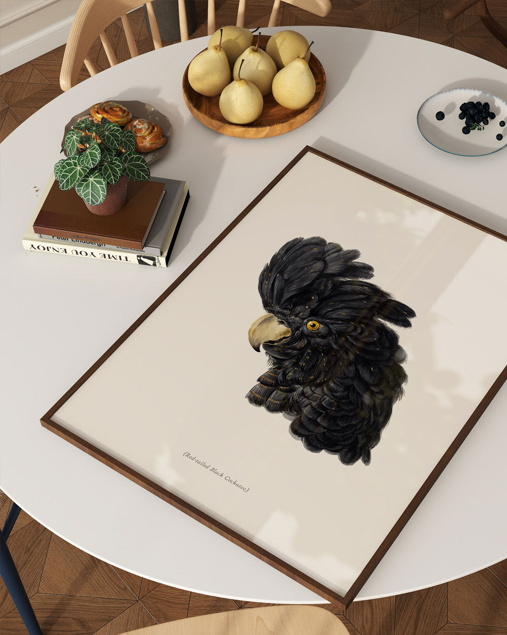 Red-Tailed Black Cockatoo Portrait Art Print