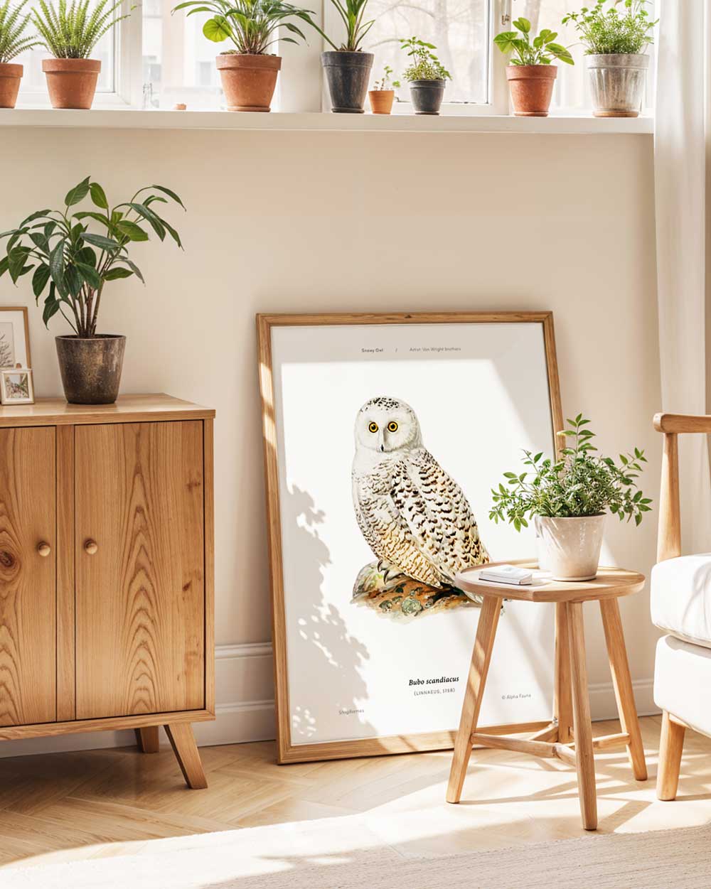 Snowy Owl Art Print