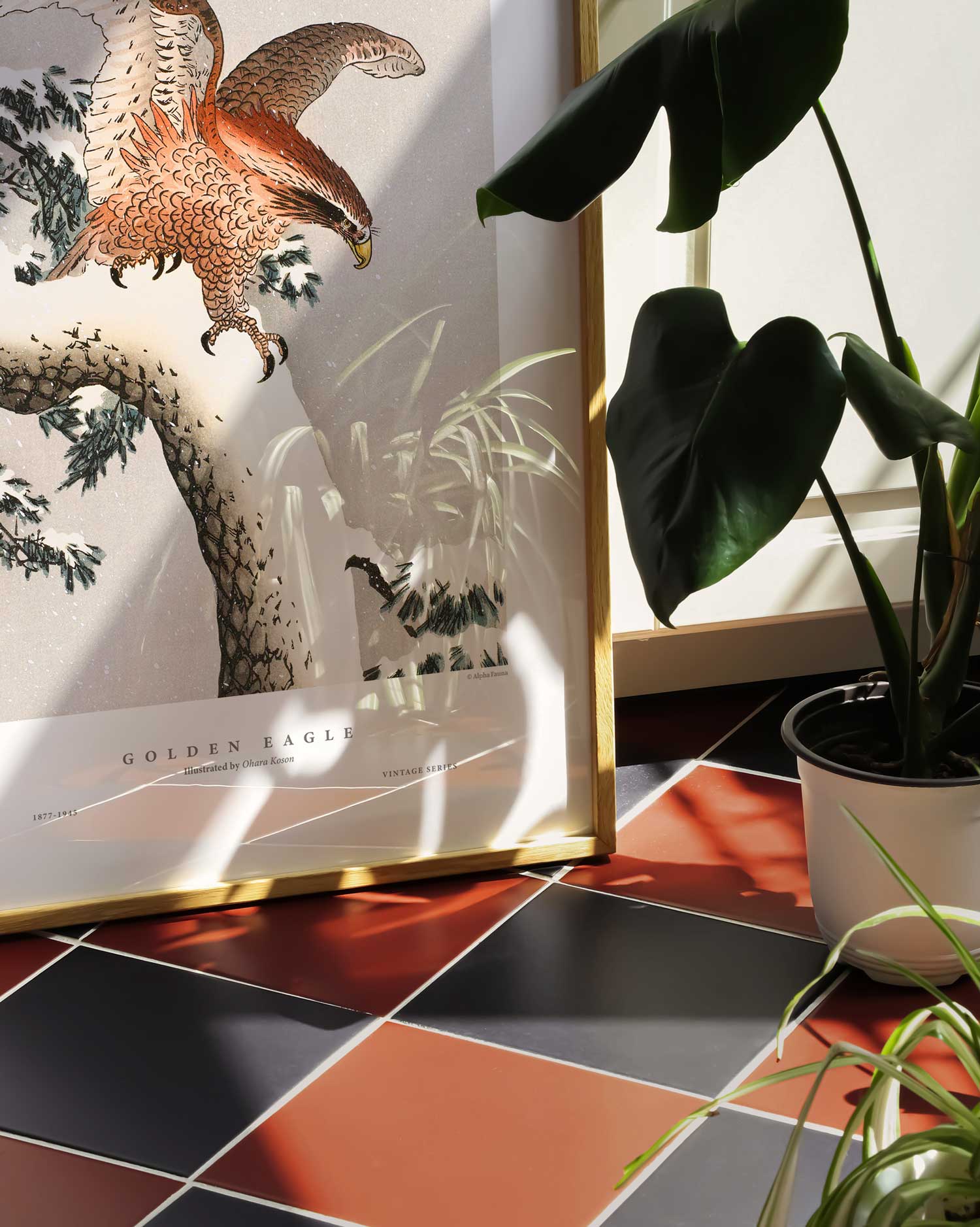 Winter Eagle Art Print