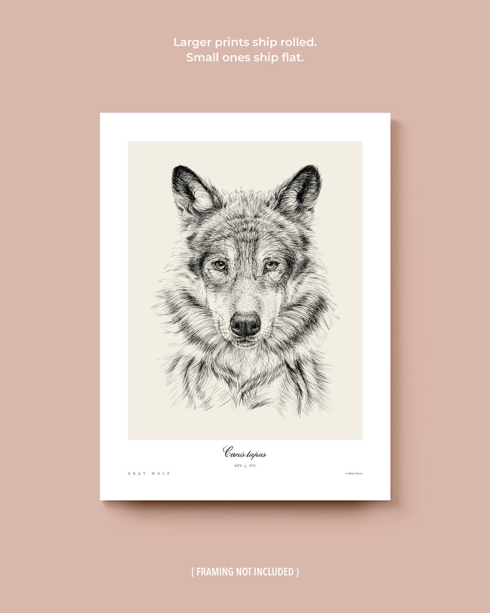Wolf & Bobcat Set