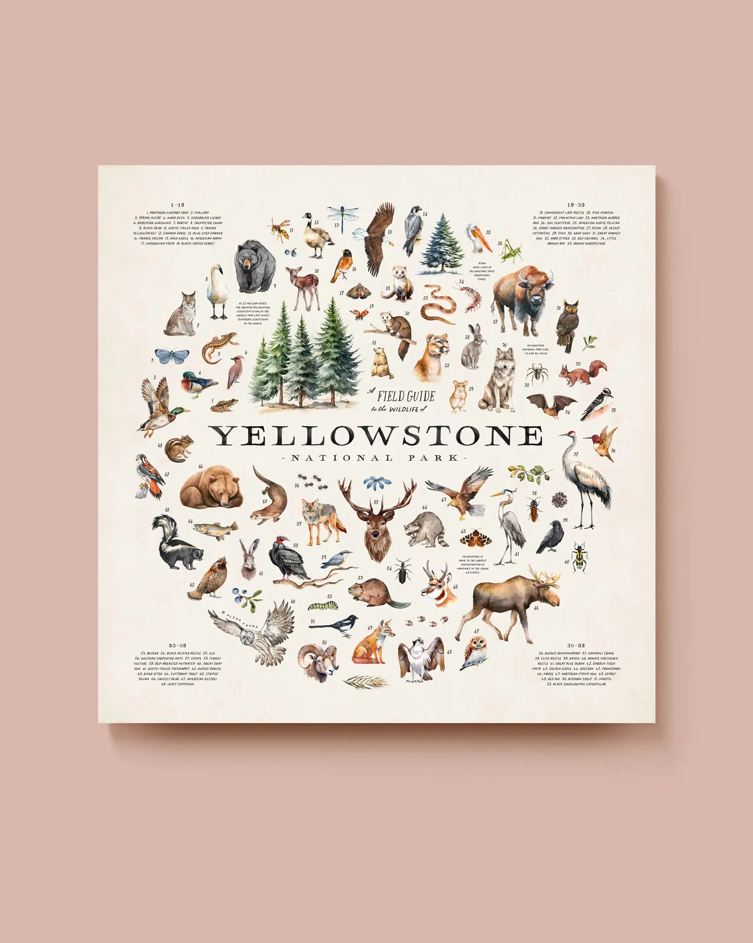 Illustration of Yellowstone National Park animals on a beige background. * Unframed print