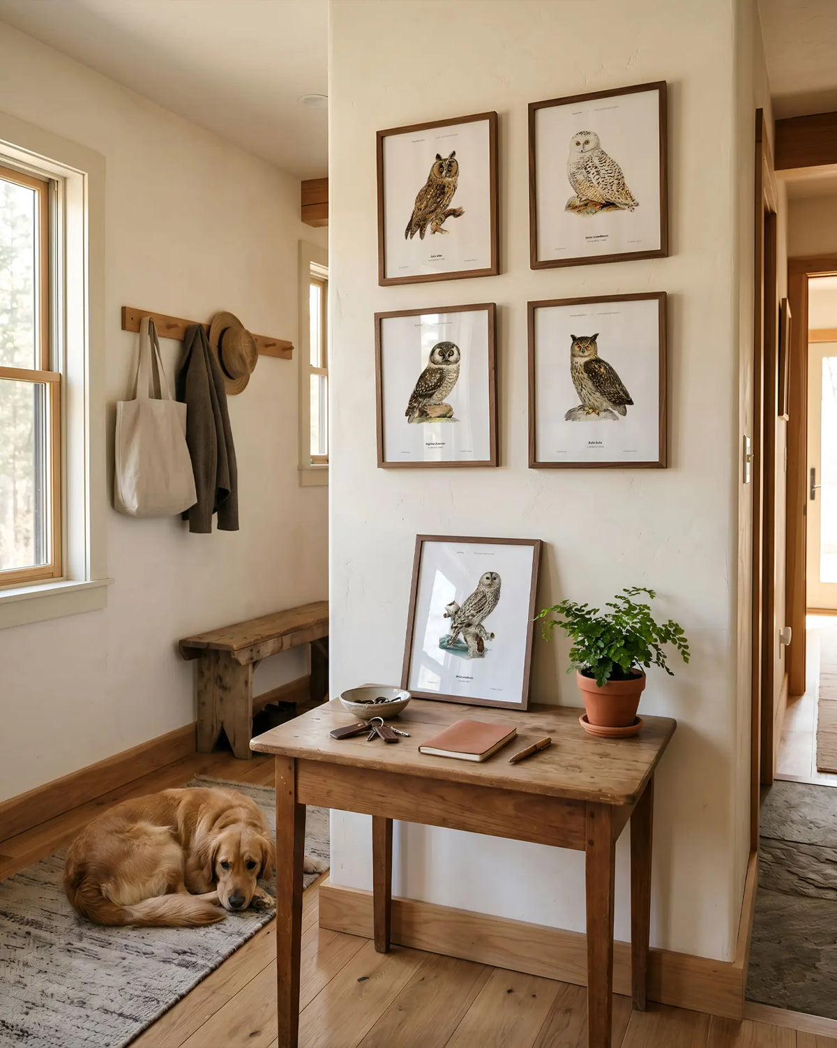 Owls of the North – Set of 5