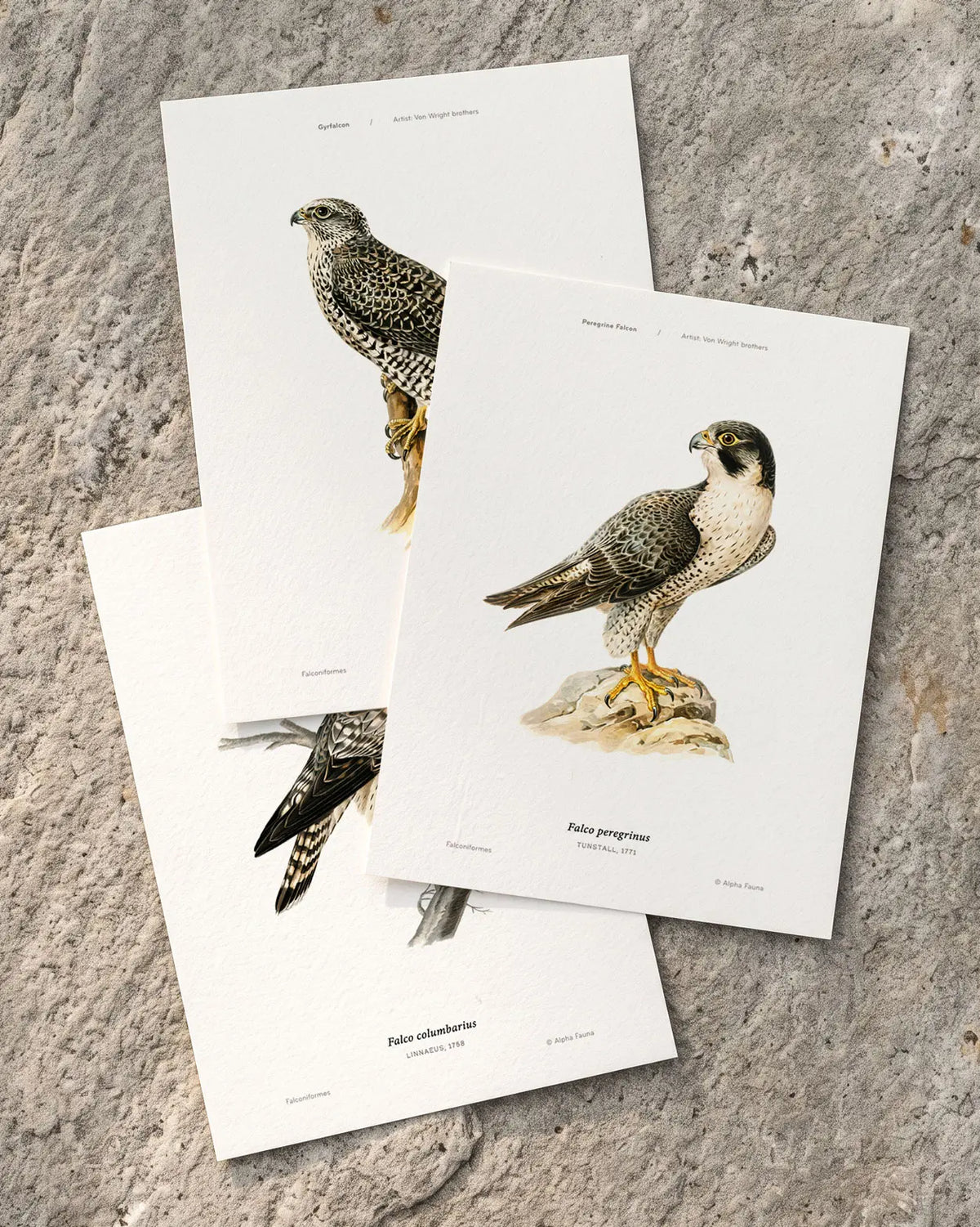 Aerial Hunters – Set of 3