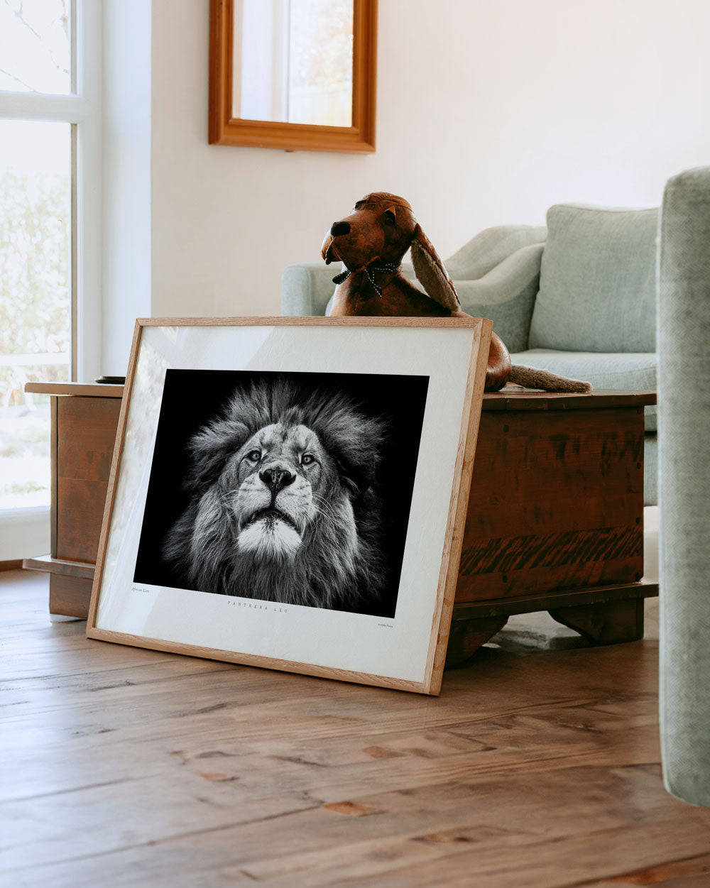 African Lion Art Print