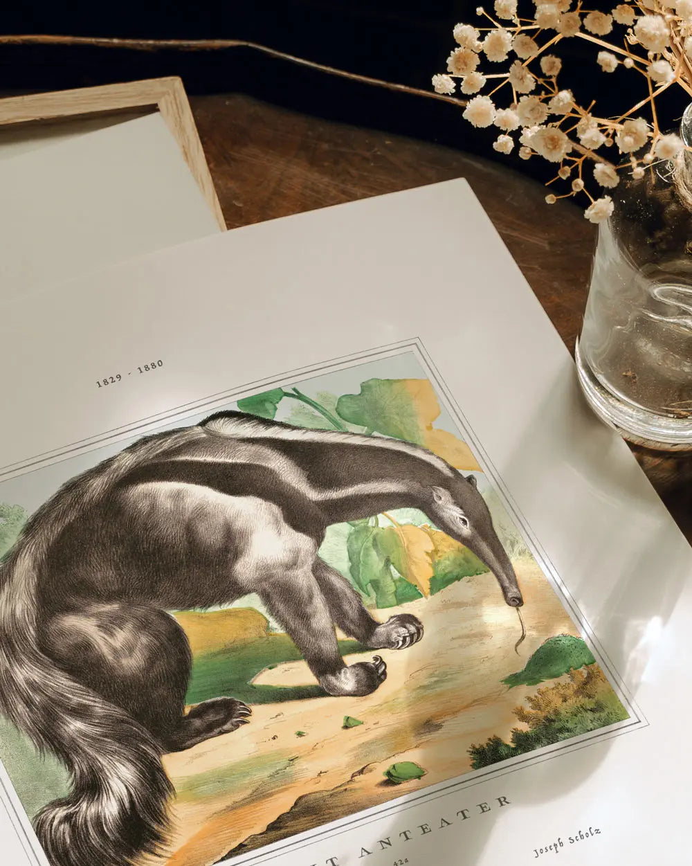 Giant Anteater Art Print