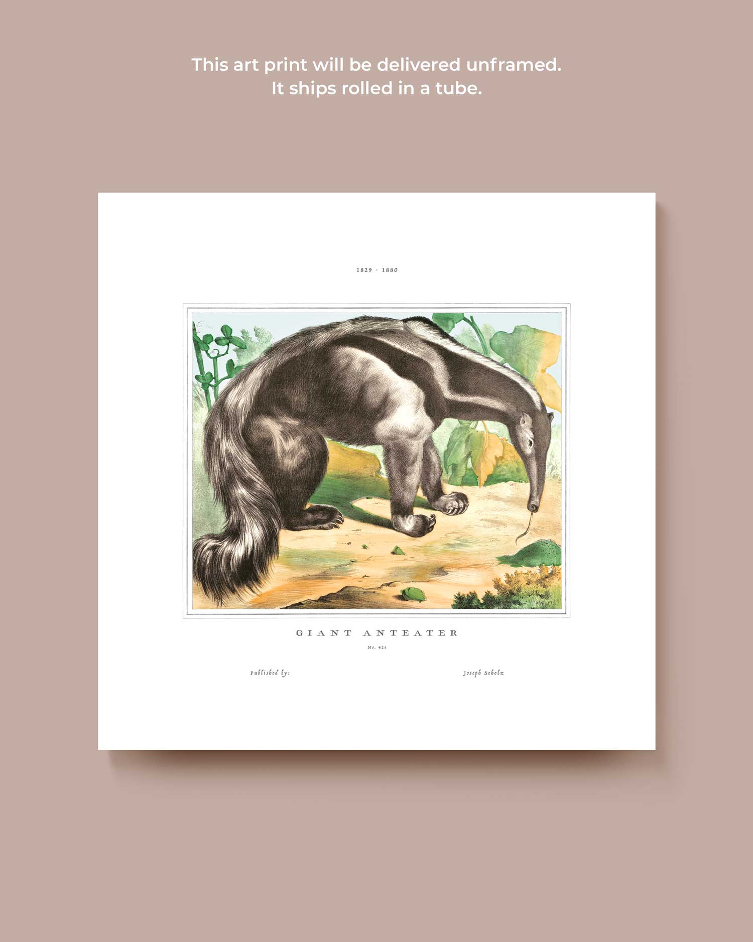 Giant Anteater Art Print