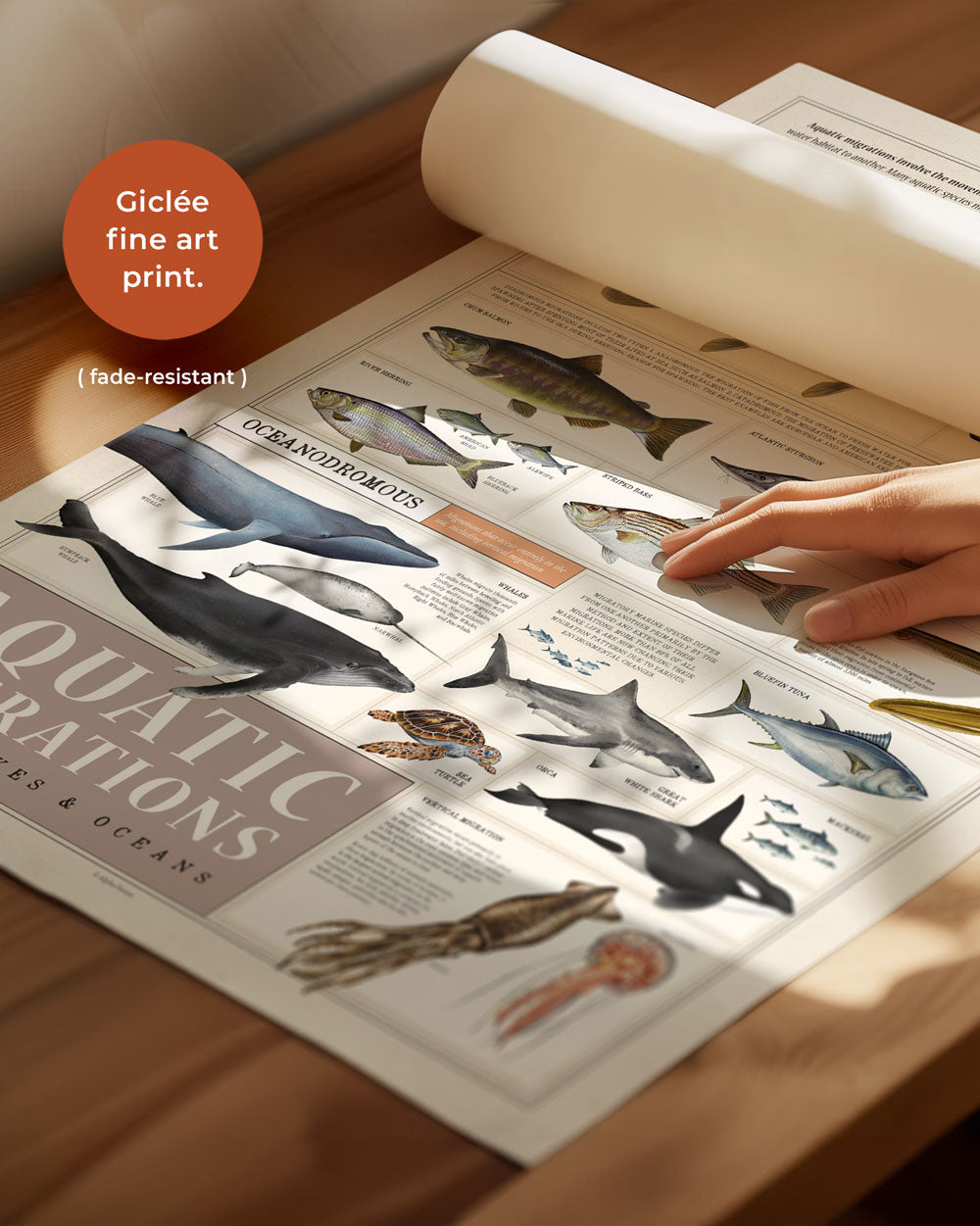 Aquatic Migrations Art Print