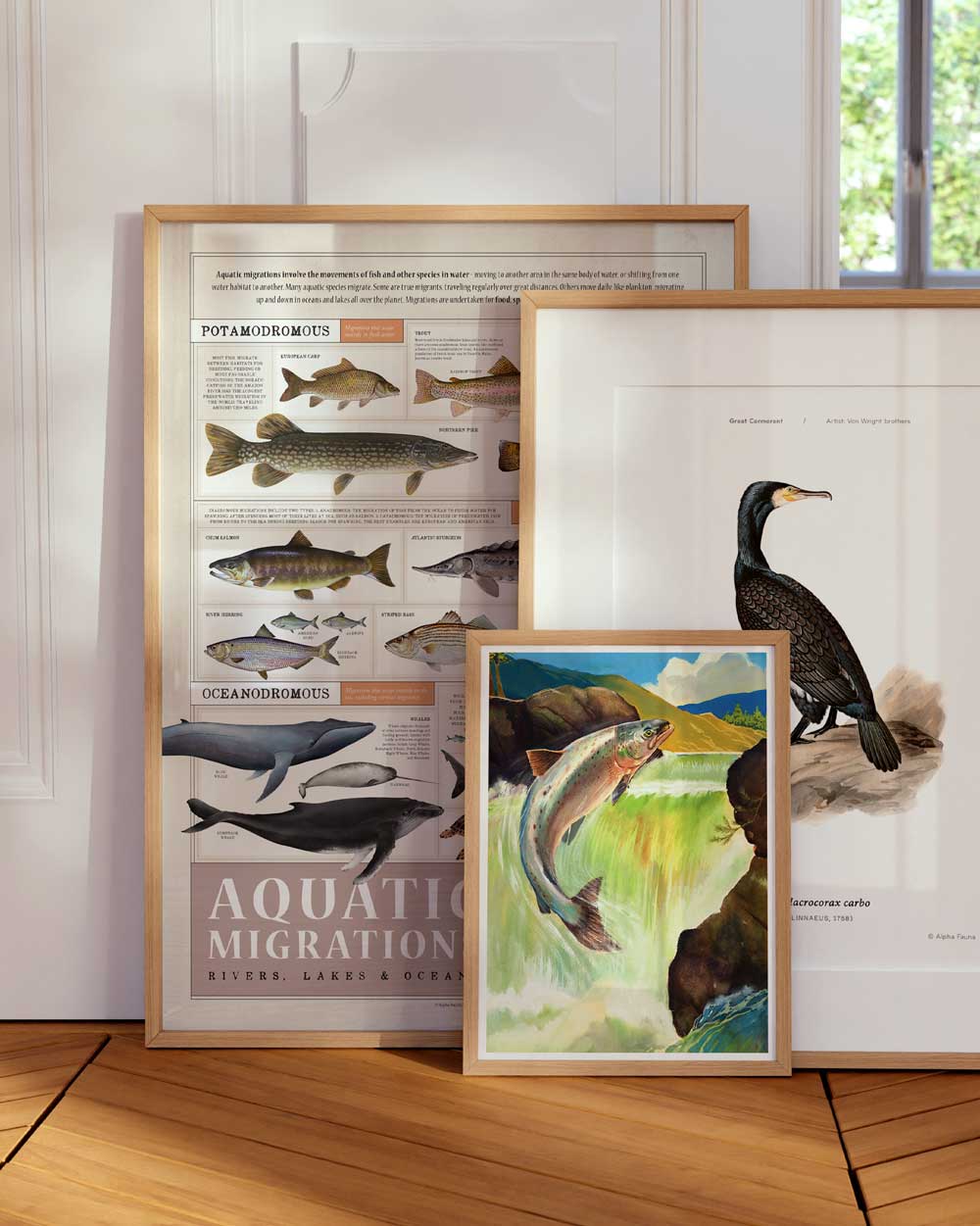 Aquatic Migrations Art Print