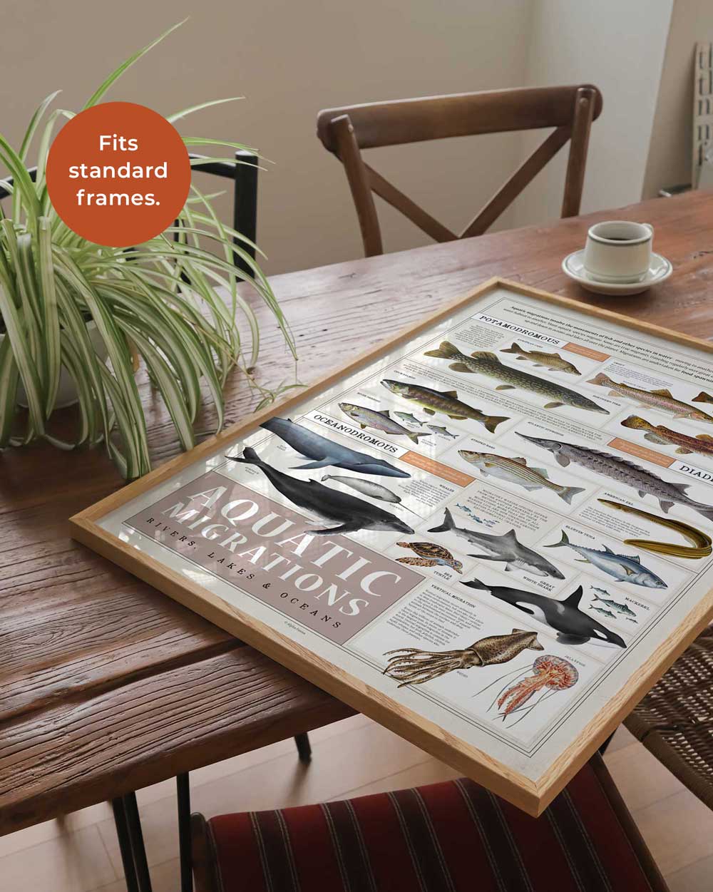 Aquatic Migrations Art Print