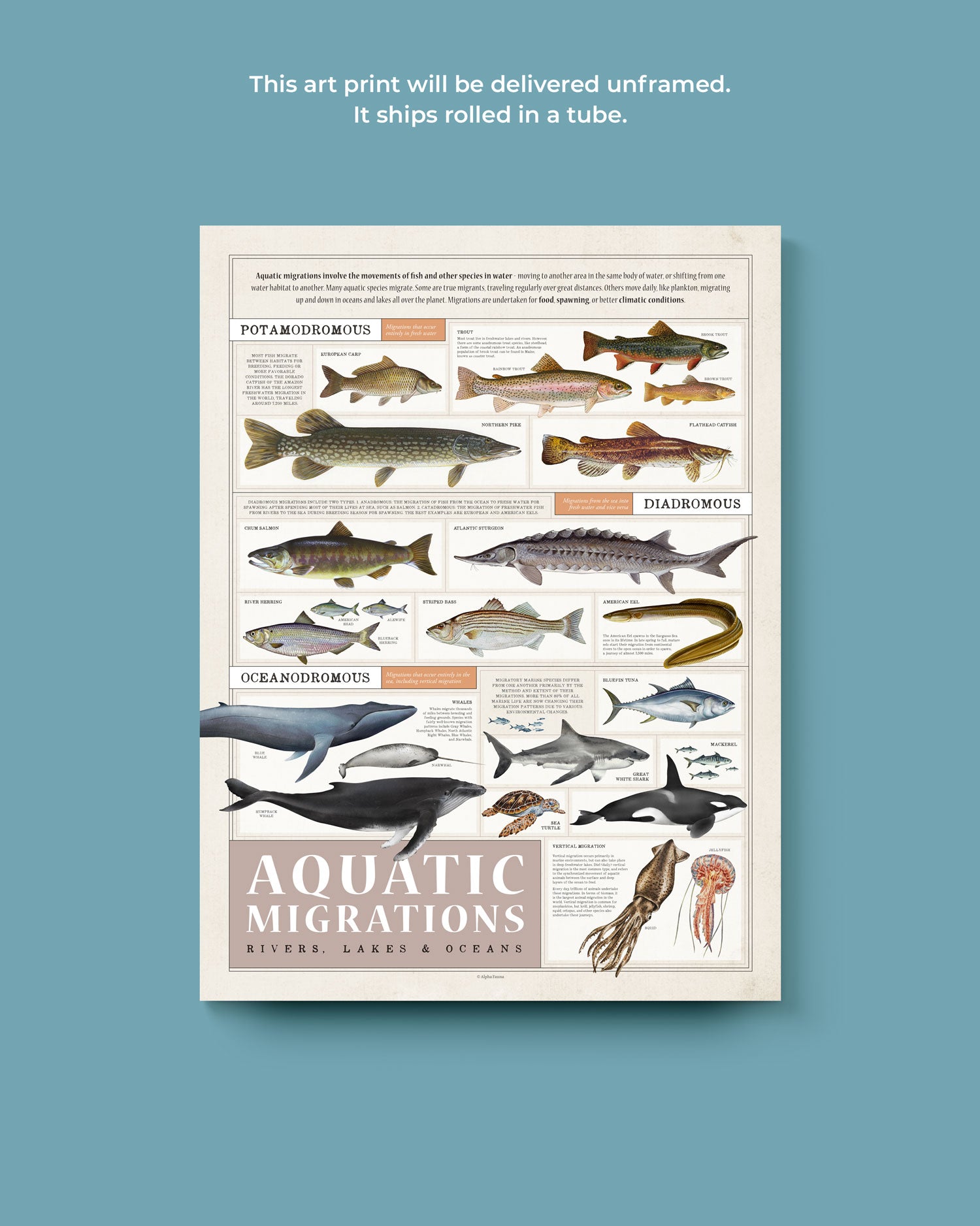 Aquatic Migrations Art Print