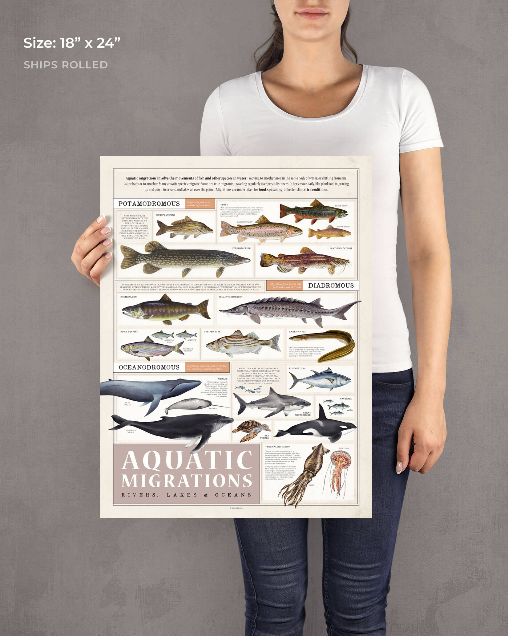 Aquatic Migrations Art Print