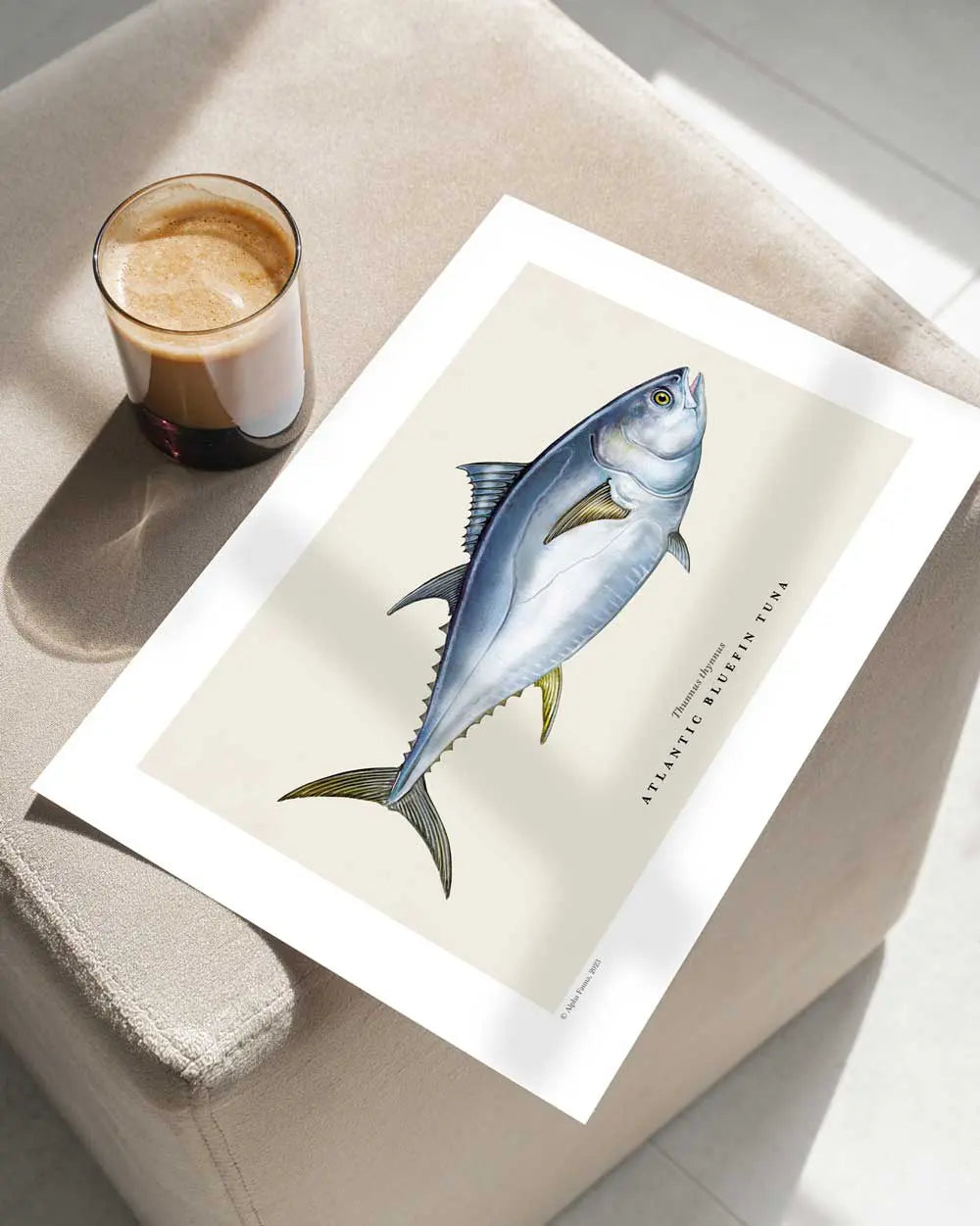 Atlantic Bluefin Tuna Art Print