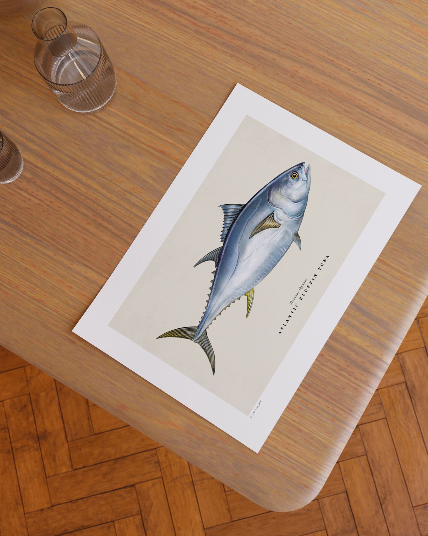 Atlantic Bluefin Tuna Art Print