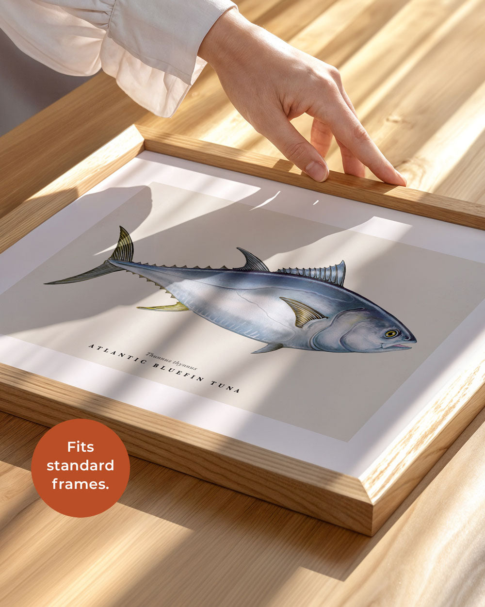 Atlantic Bluefin Tuna Art Print
