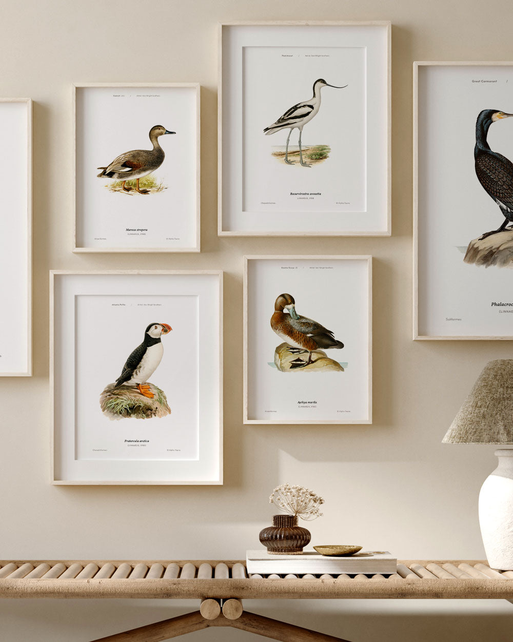 Atlantic Puffin Art Print