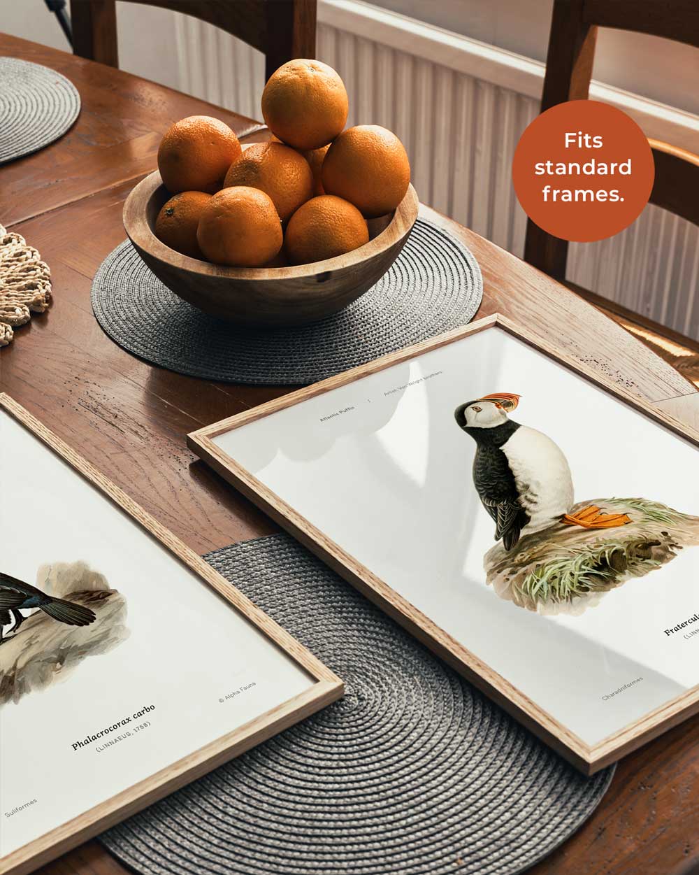 Atlantic Puffin Art Print