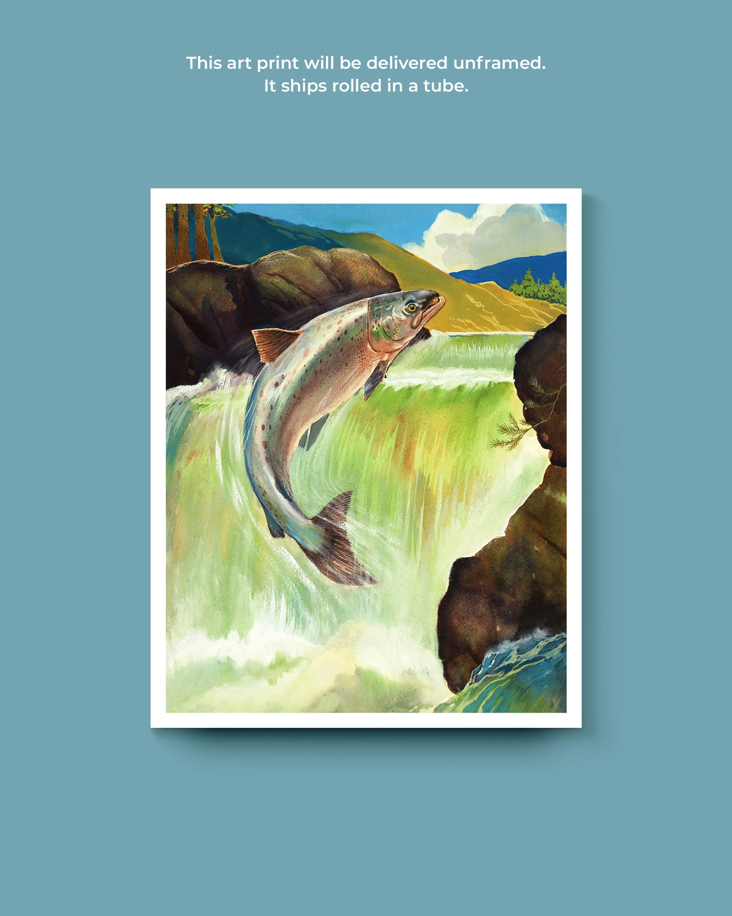 Atlantic Salmon Art Print