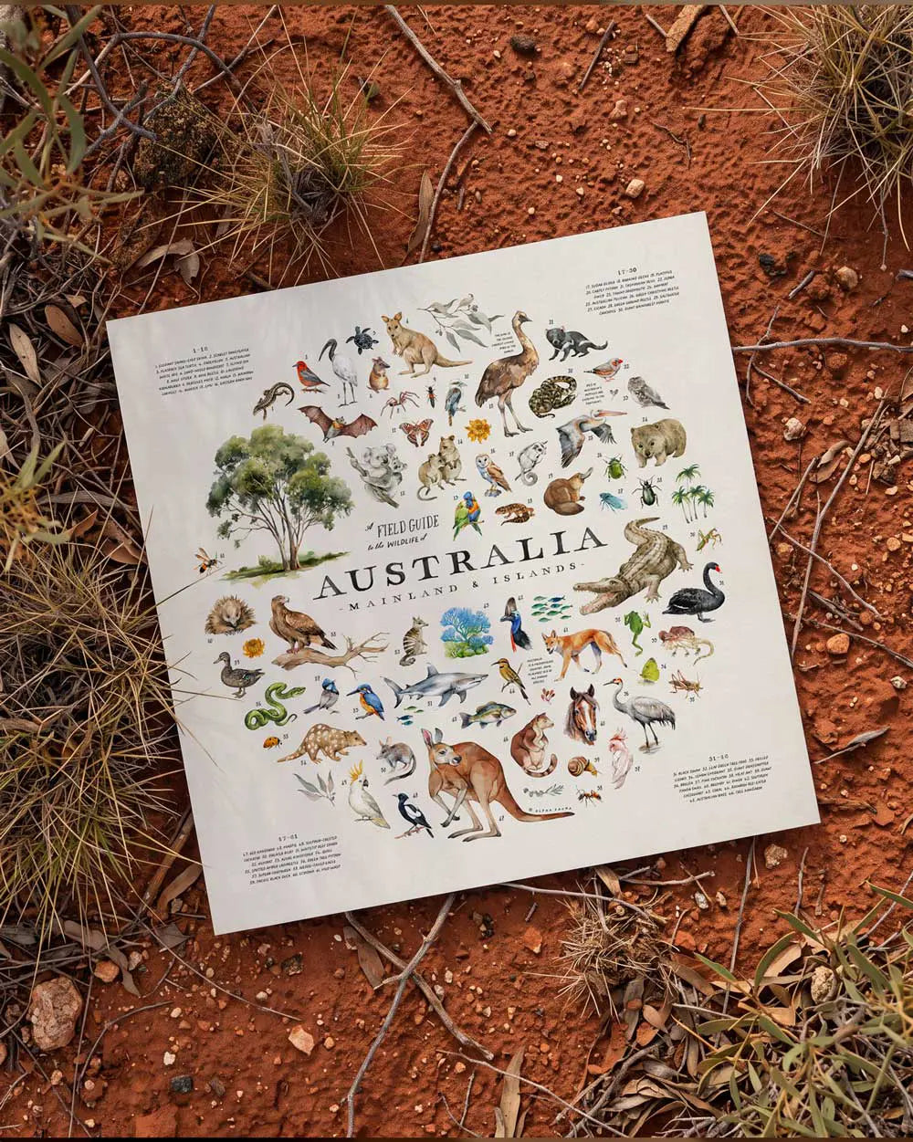 Wildlife of Australia Art Print