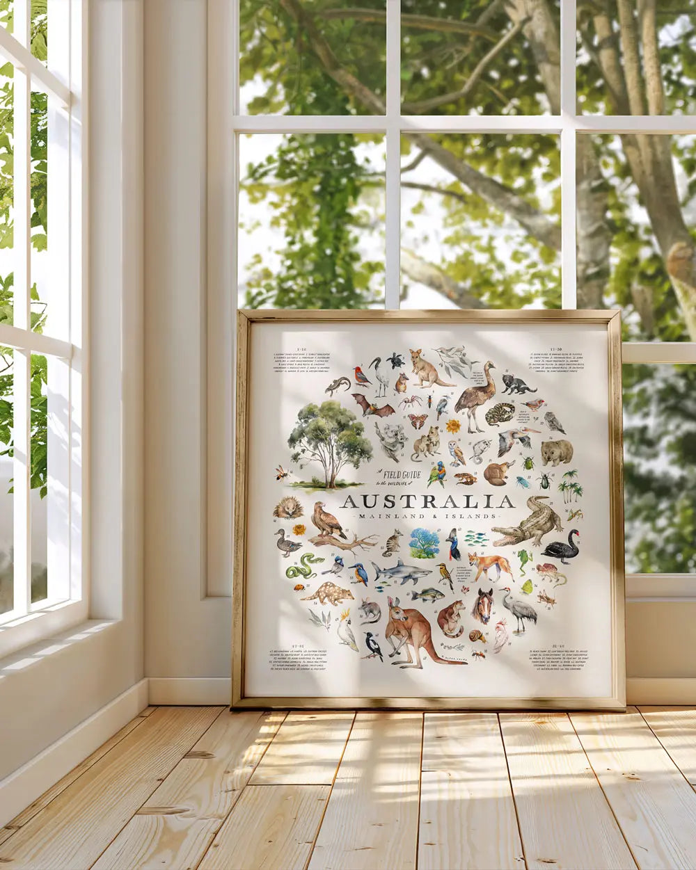 Wildlife of Australia Art Print