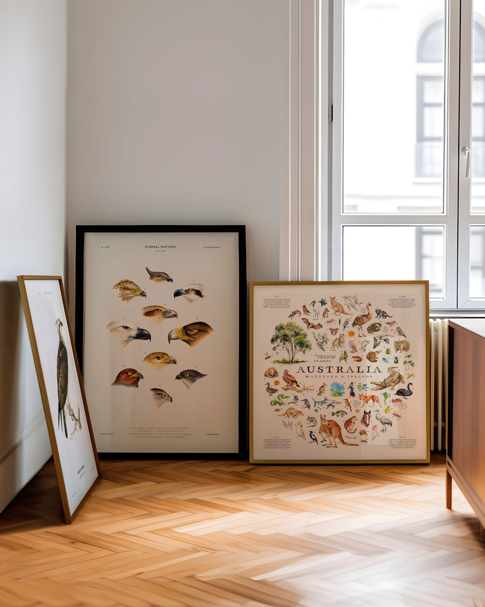 Wildlife Of Australia Art Print