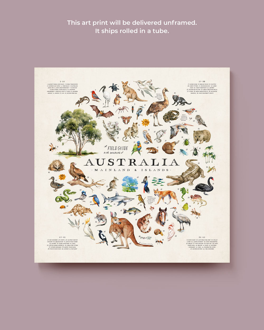 Wildlife Of Australia Art Print