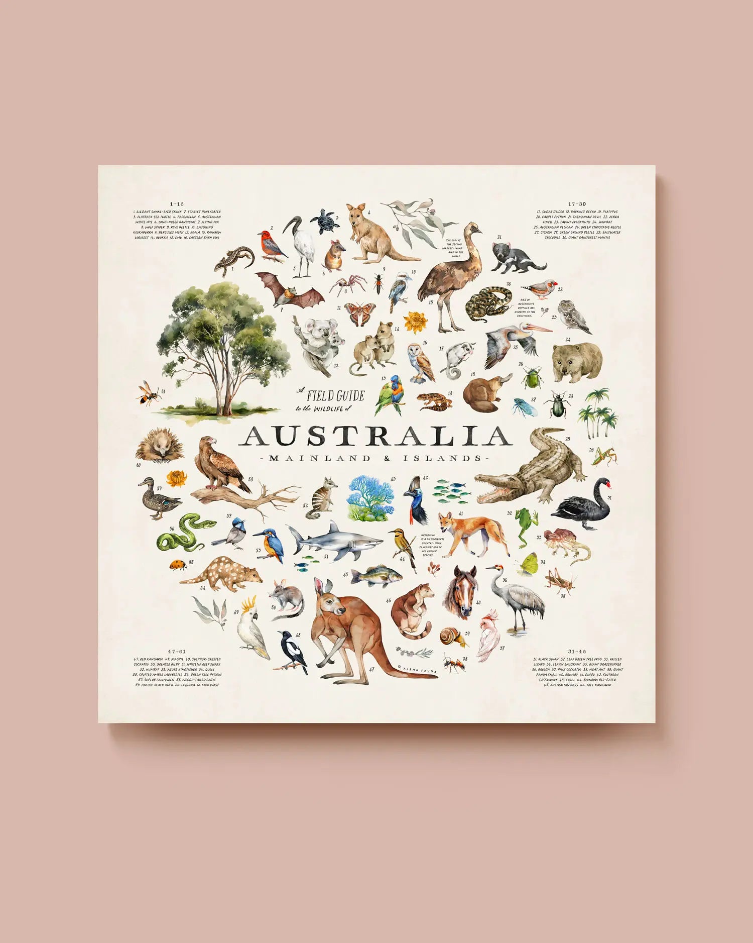 Illustration of Australian animals and flora on a beige background. * Unframed print