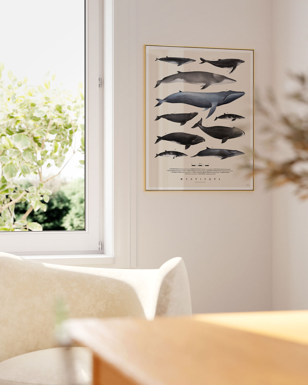 Baleen Whales Art Print