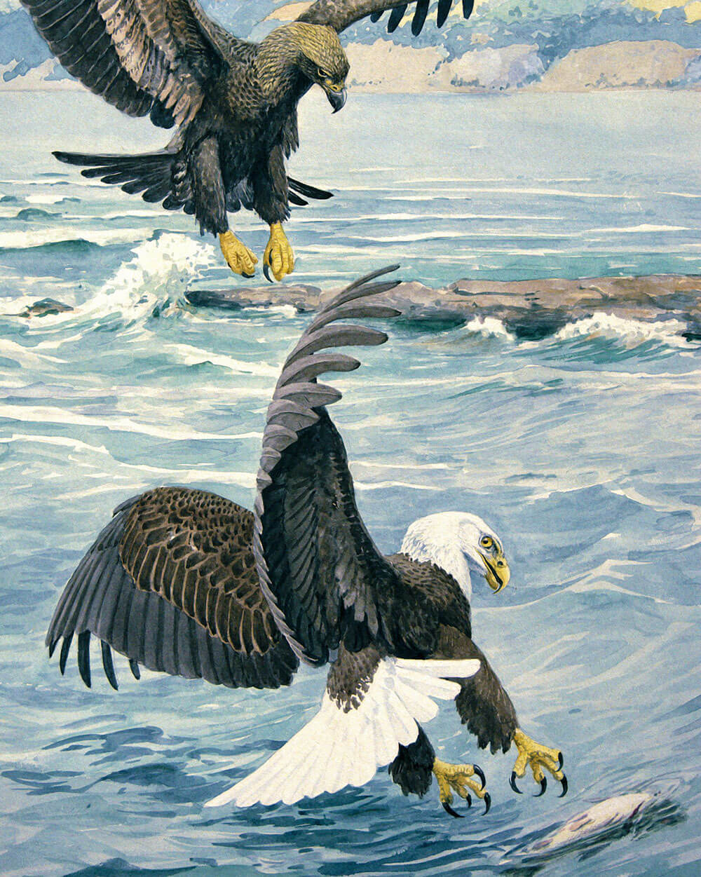 Battle Of The Eagles Art Print