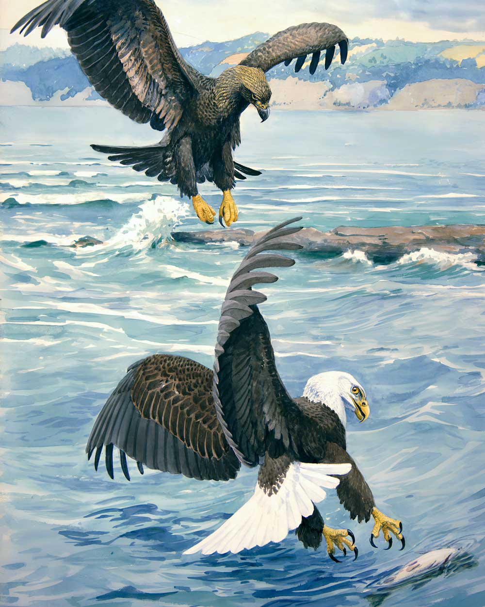 Battle Of The Eagles Art Print