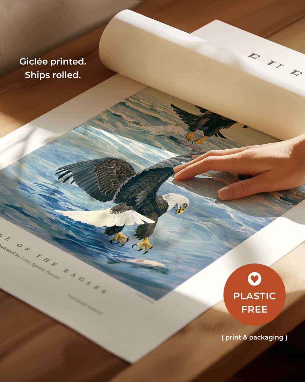 Battle Of The Eagles Art Print