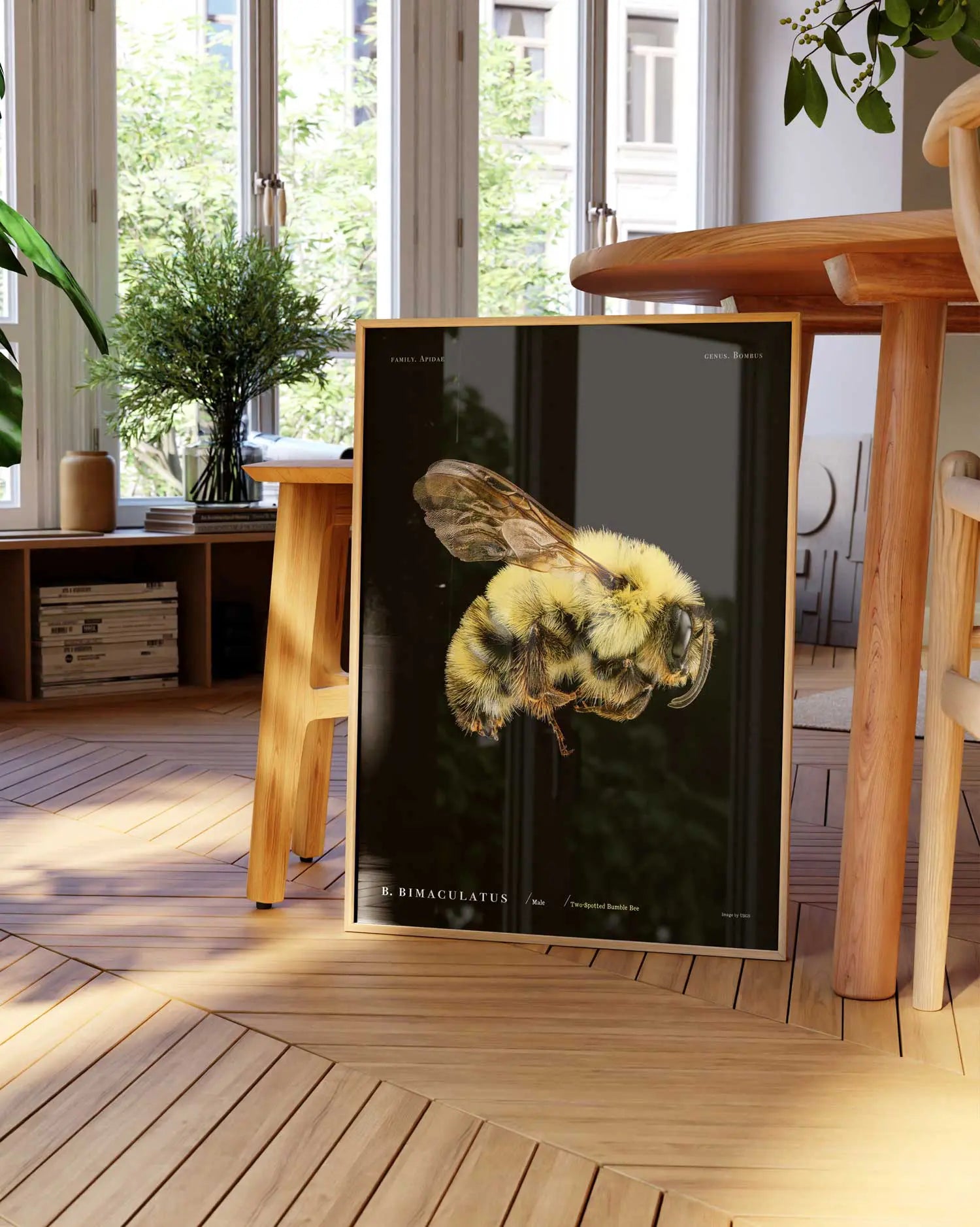 Framed artwork of a bee leaning against a table in a bright room with large windows.