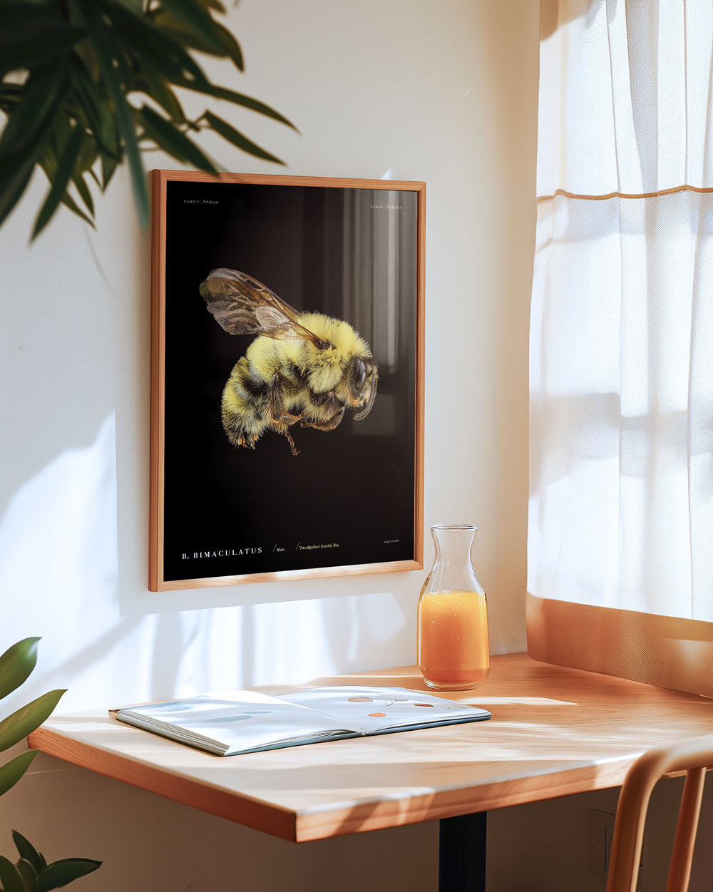 Two-Spotted Bumble Bee Art Print