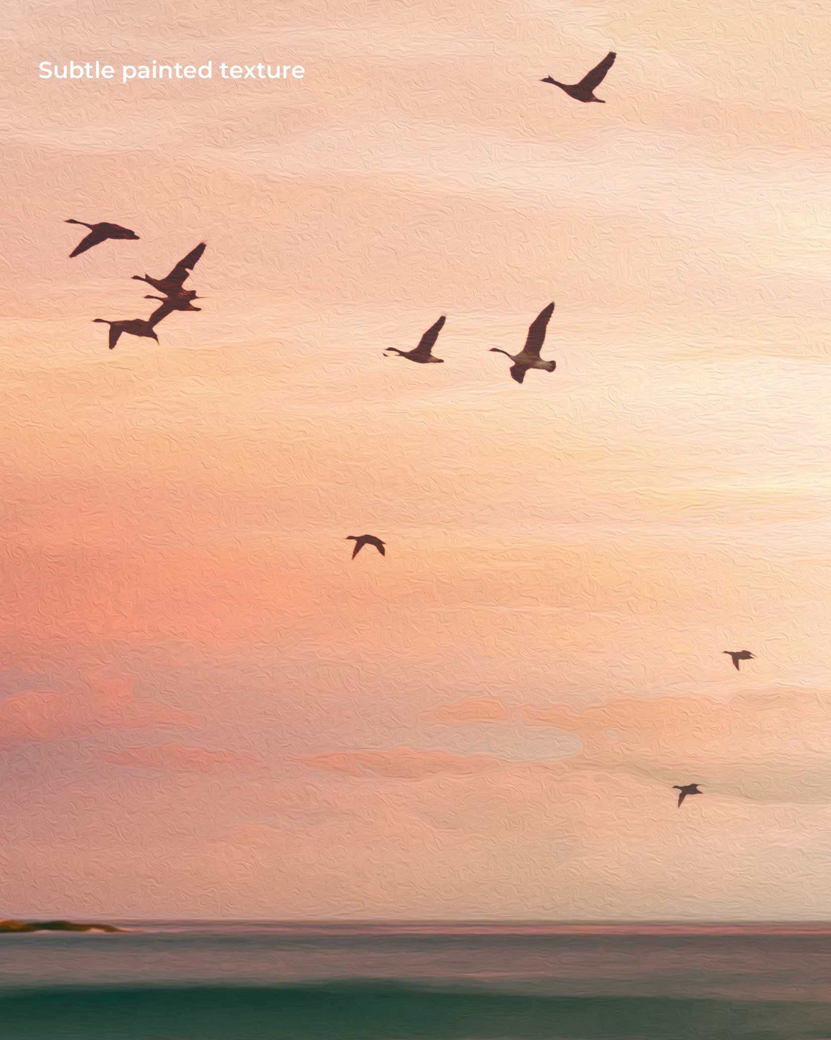 Birds At The Beach Art Print