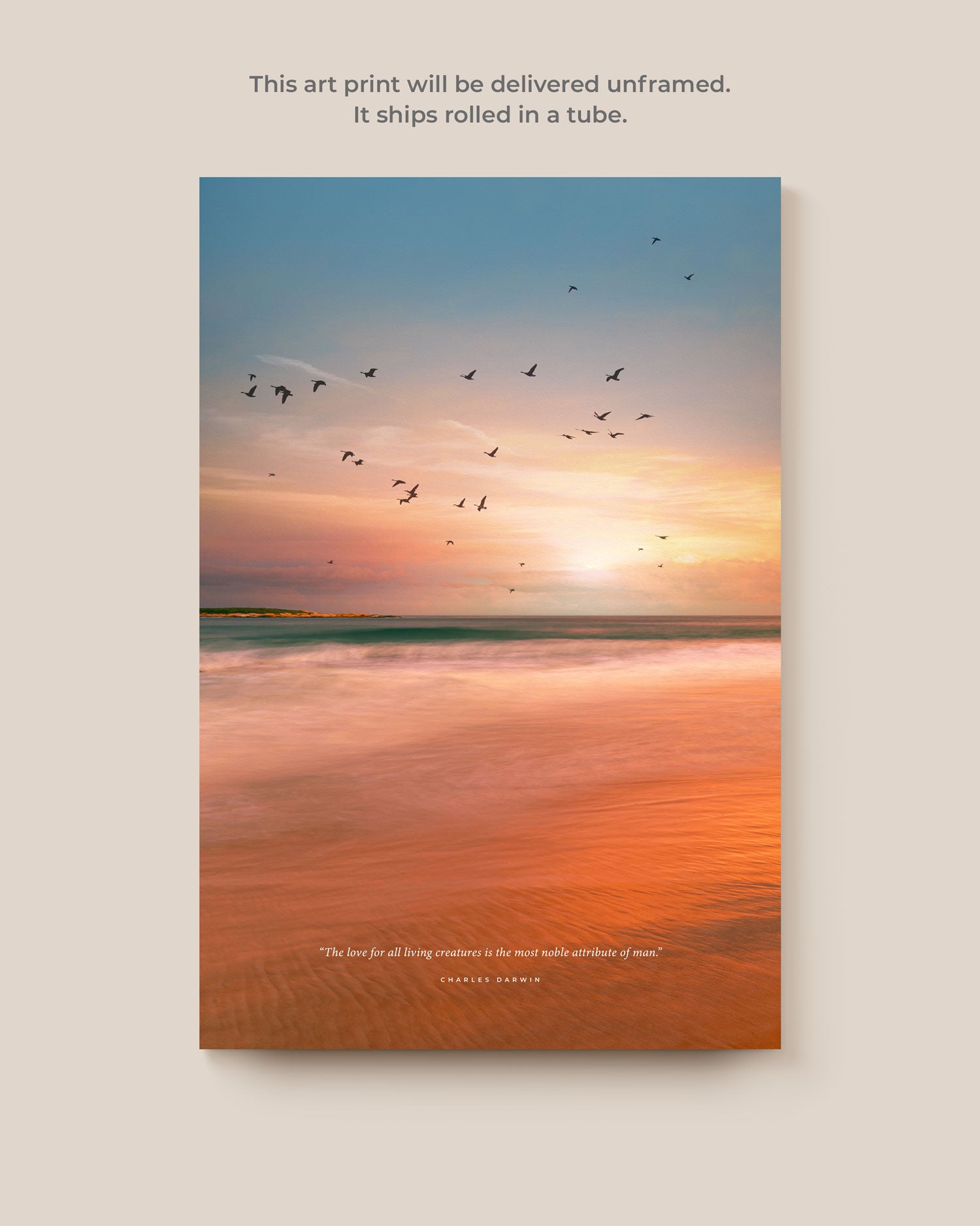 Birds At The Beach Art Print